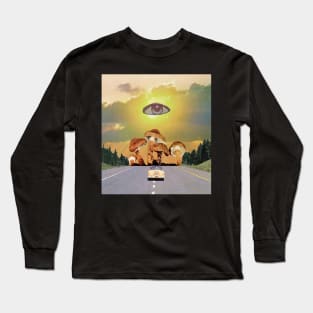 Shrooms kingdom Long Sleeve T-Shirt